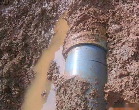 1704244083349995.jpg 23 (1).jpg